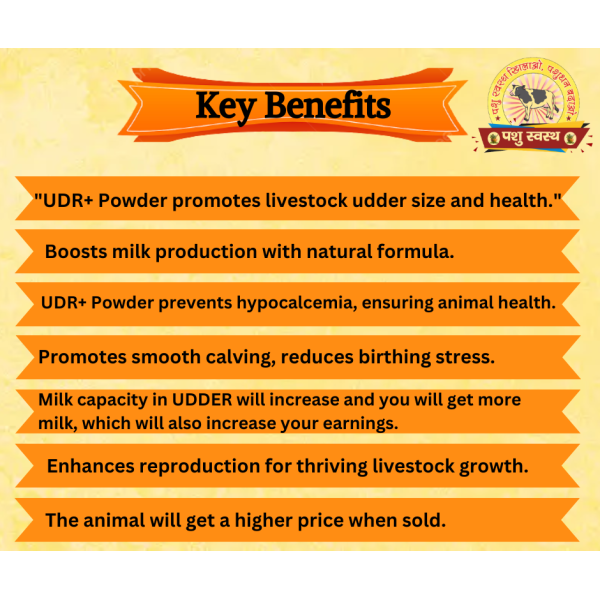 UDR + Powder - Image 7
