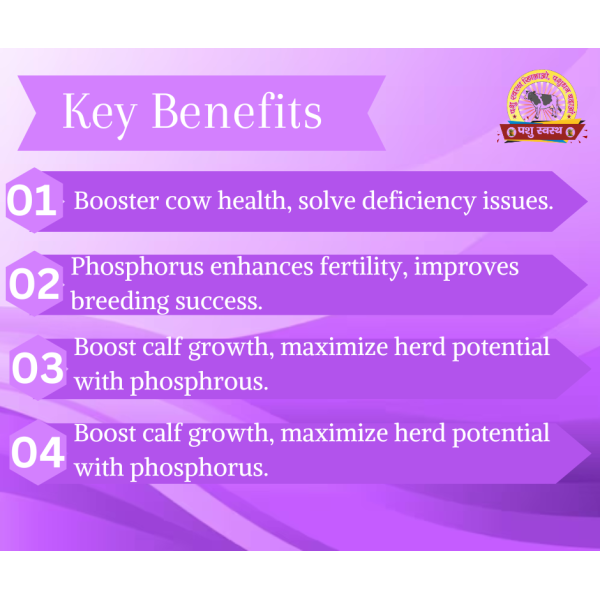 FRS Gold Powder - Image 9