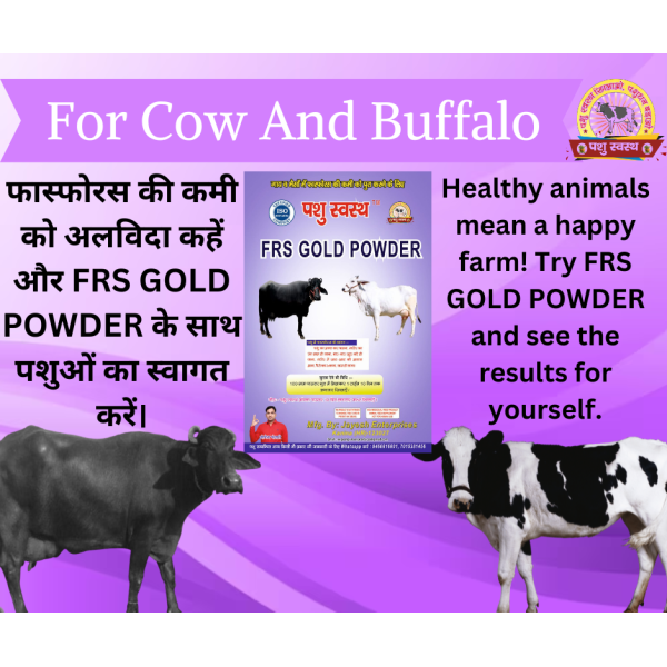 FRS Gold Powder - Image 6