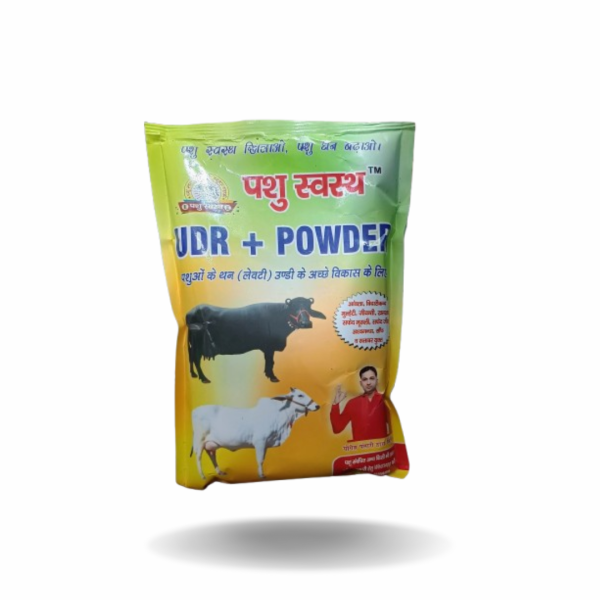 UDR + Powder