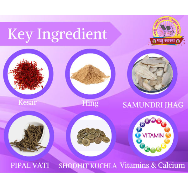 FRS Gold Powder - Image 5