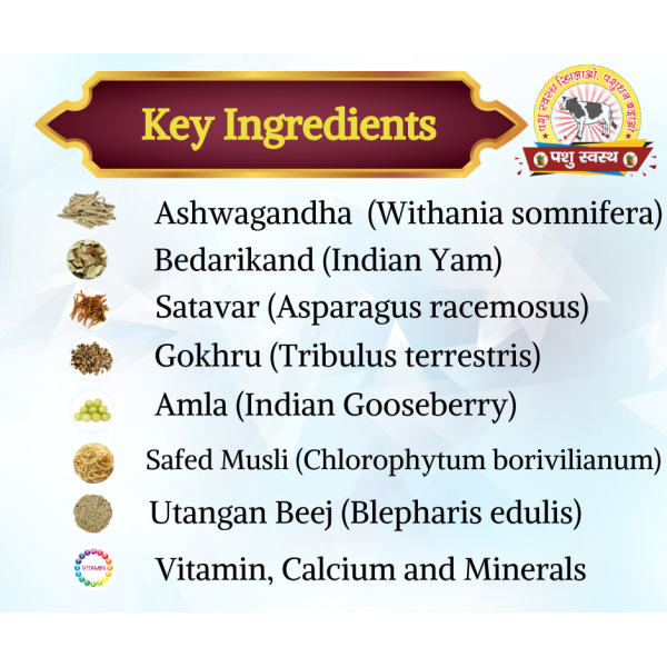 Growth Powder - Image 3