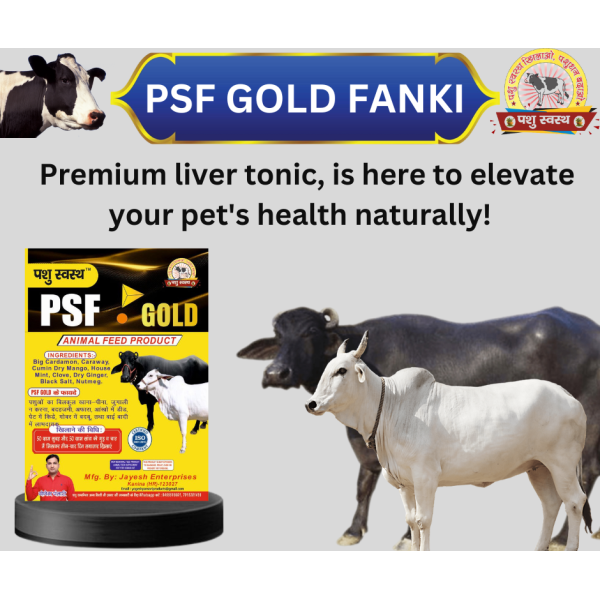 PSF Gold Fanki - Image 3