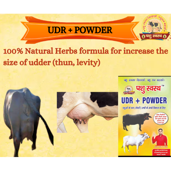 UDR + Powder - Image 4