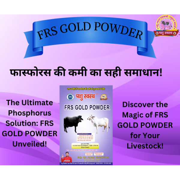 FRS Gold Powder - Image 4