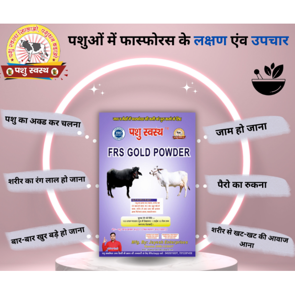FRS Gold Powder - Image 3