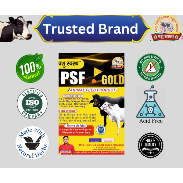 PSF Gold Fanki - Image 2