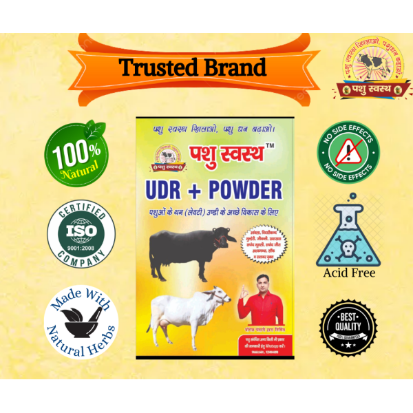 UDR + Powder - Image 2