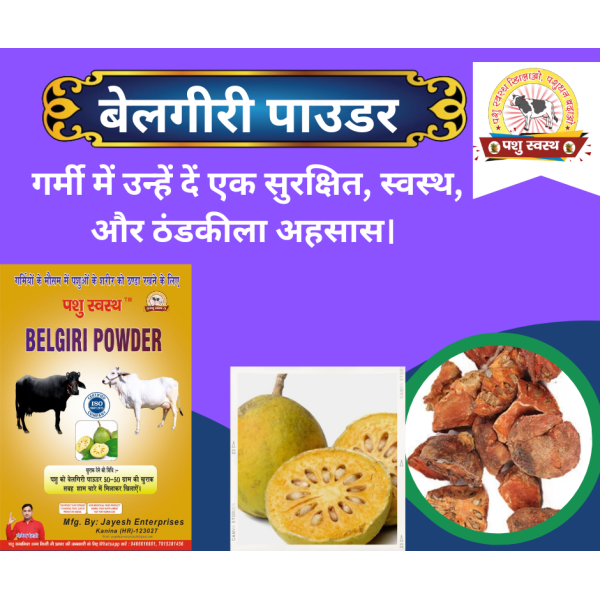 Belgiri Powder - Image 3