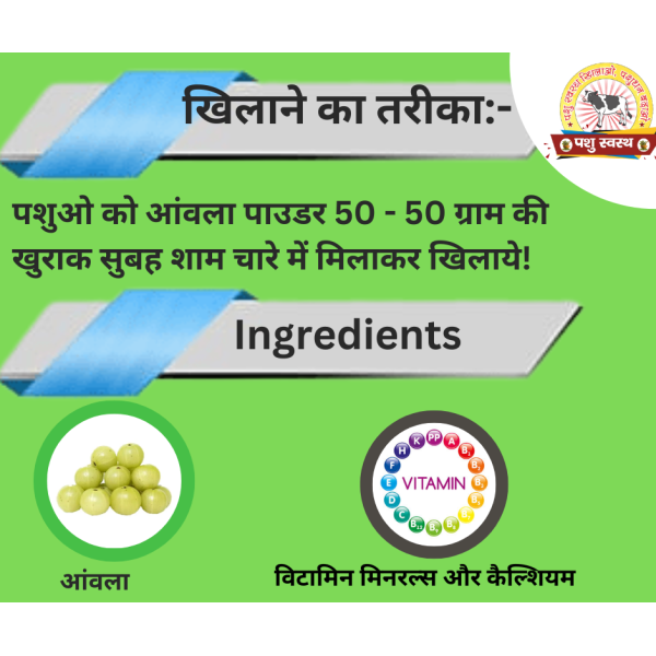 Amla Powder - Image 3
