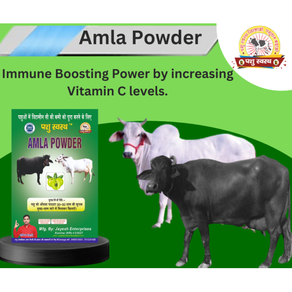 Amla Powder - Image 2
