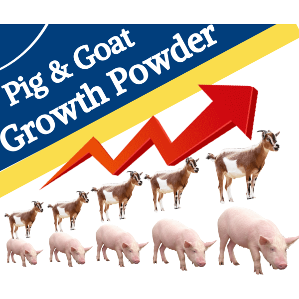 Pig & Goat Growth Powder - Image 5