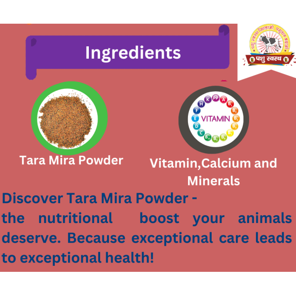 Tara Mira Powder - Image 4