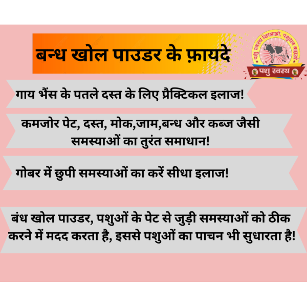 Bandh Khol Powder - Image 4
