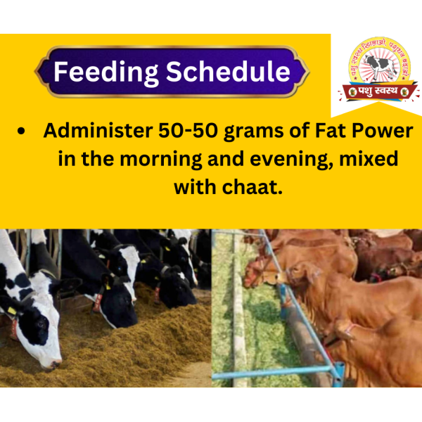 Fat Powder - Image 6