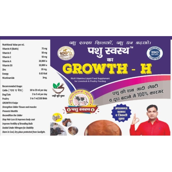 Growth H - Image 5