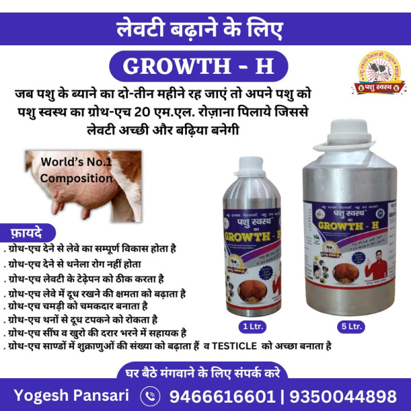Growth H - Image 2