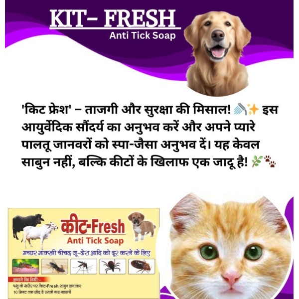 Kit Fresh Soap - Image 6