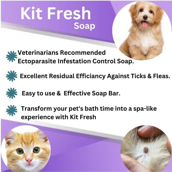Kit Fresh Soap - Image 5