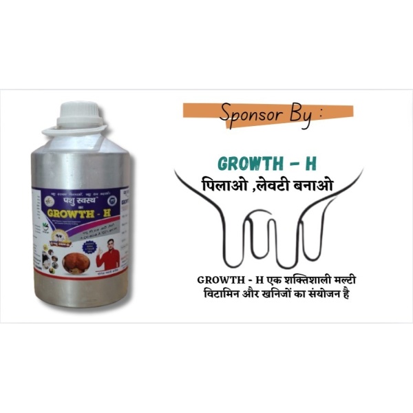 Growth H Gold - Image 3