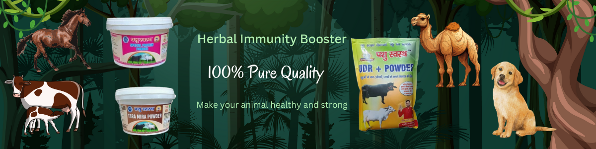 Herbal Immunity Booster (1)