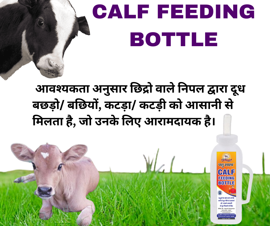 Calf Feeding Bottle- 2 Littre - Image 4